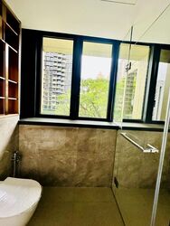 Irwell Hill Residences (D9), Apartment #467601881